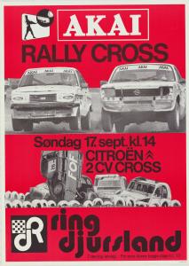 Rally Cross